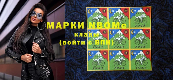 винт Ельня